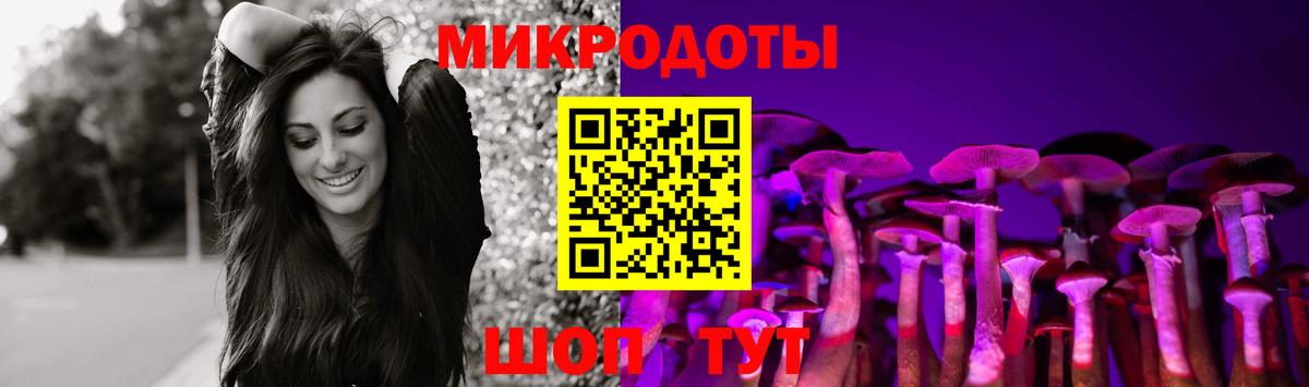 Псилоцибиновые грибы Psilocybe Пыть-Ях